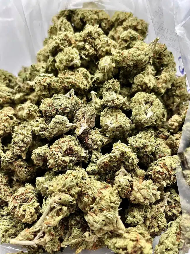 120$ Ounce Apple Fritter