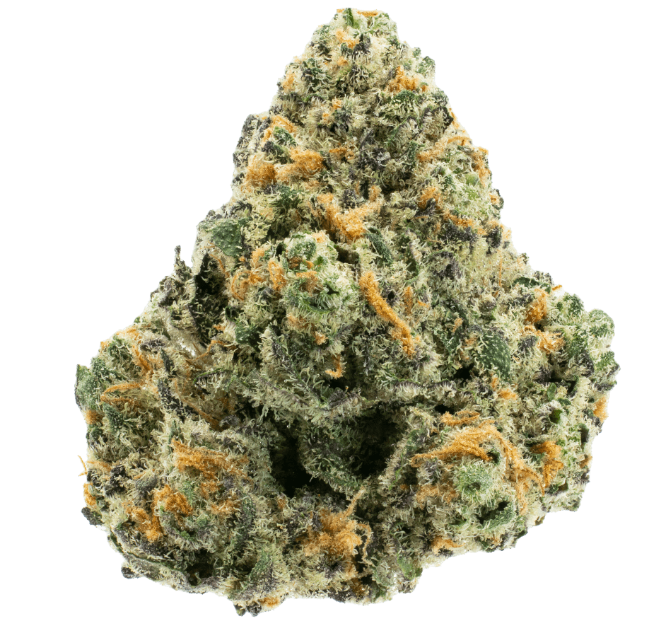 Space Guava Premium Flower