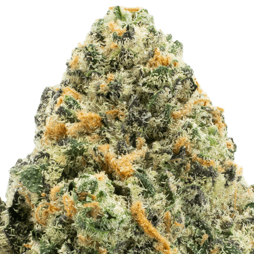 Space Guava Premium Flower