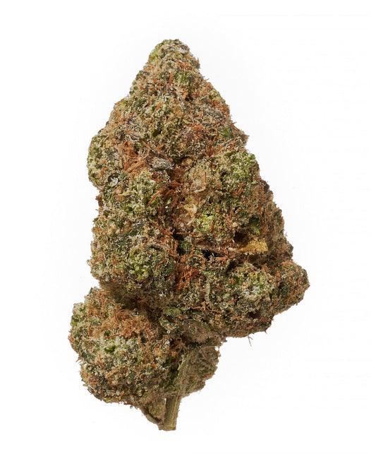 Apricot Mimosa Flower 30$ 3.5G