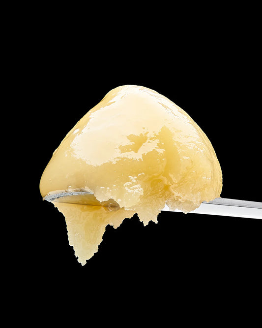1G Honey Berry Premium THCa Hash Rosin