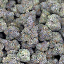 White Runtz Premium Flower 3.5G